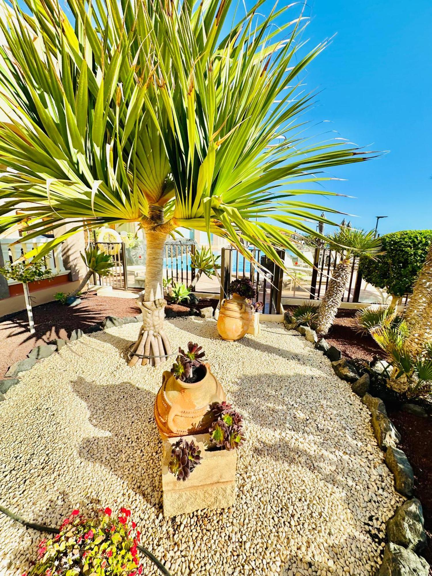 El Nautico Apartment San Miguel de Abona Exterior photo